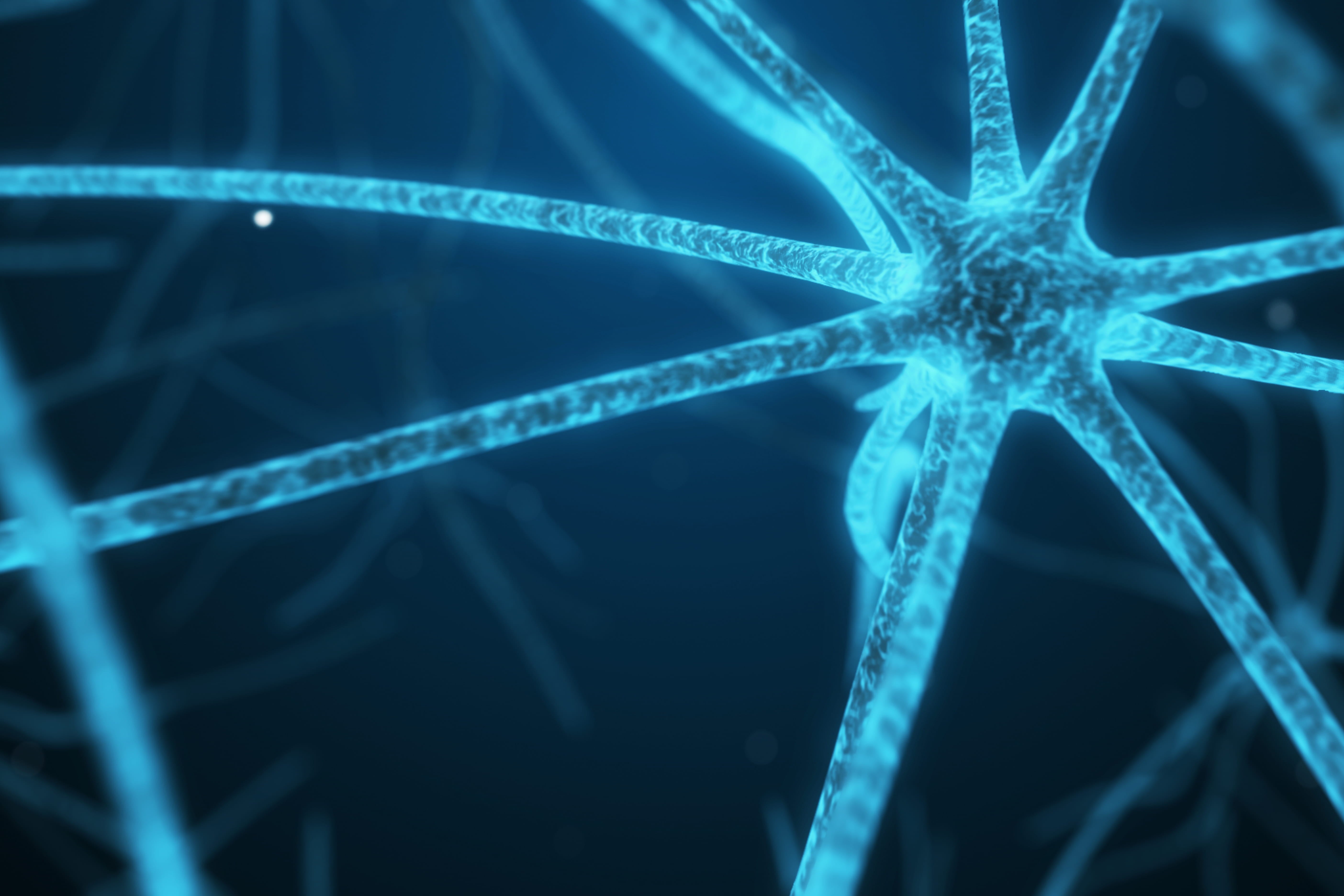 ARA 290's effect on Neuropathic Recovery