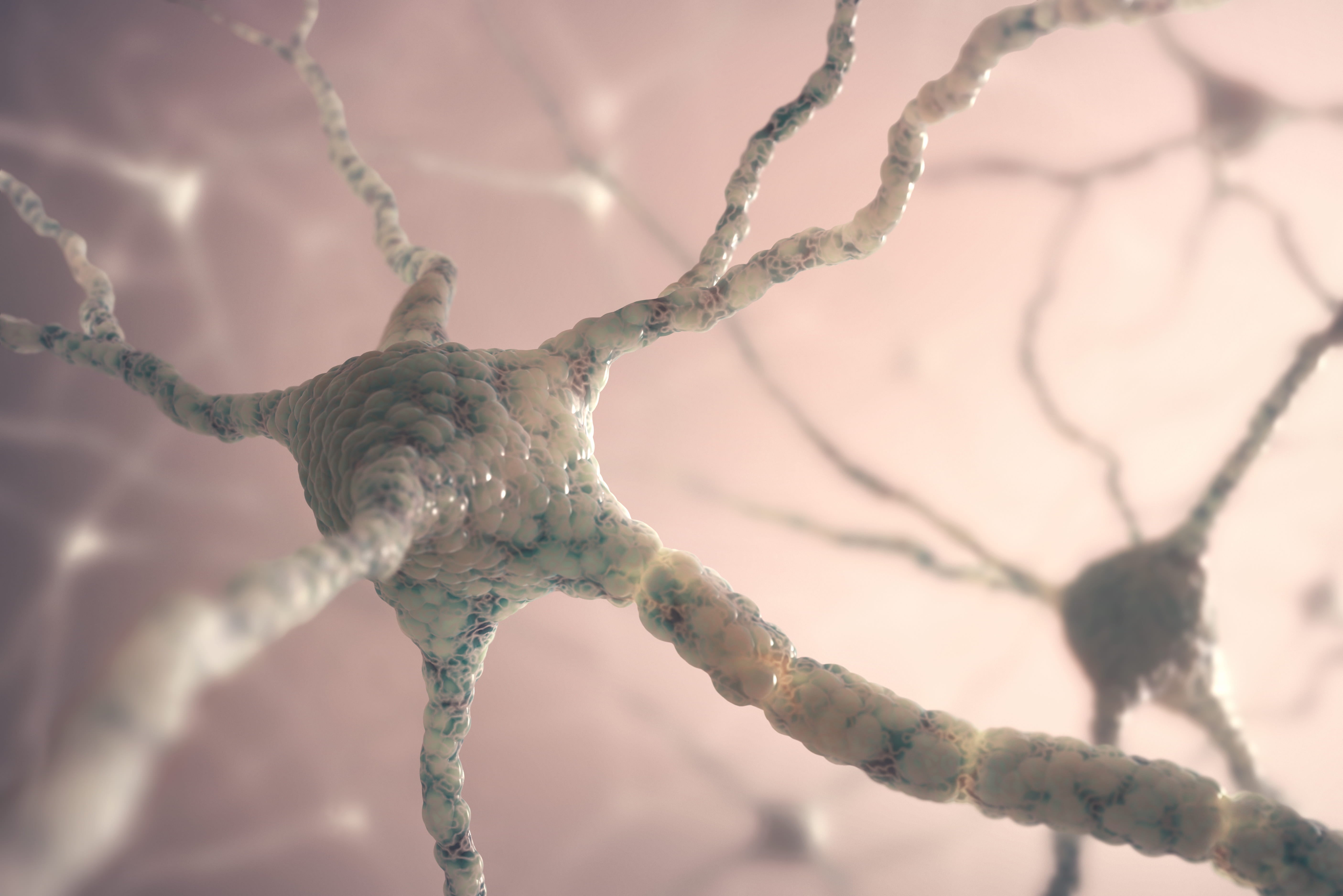 Reversal of Cognitive Defects and Synaptic Deficits with P21